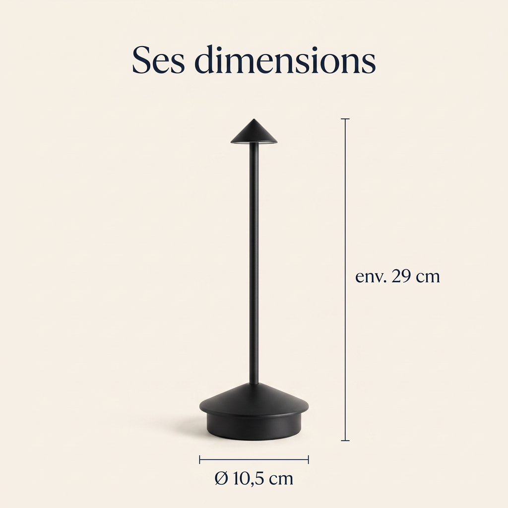 Dimensions de la lampe : environ 29 cm de haut, base de 10,5 cm