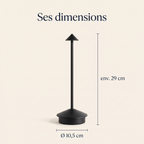 Dimensions de la lampe : environ 29 cm de haut, base de 10,5 cm